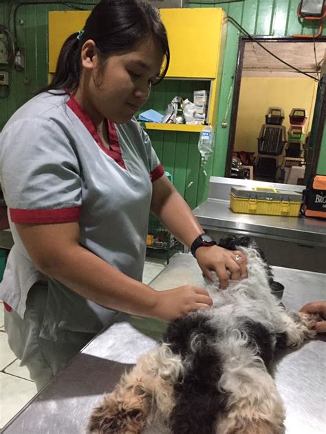 Mandalagan Veterinary Hospital .